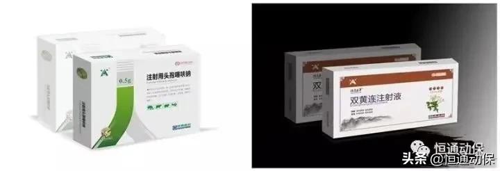 猪口蹄疫苗的注意事项,牛口炎和口蹄疫及水疱病的区别