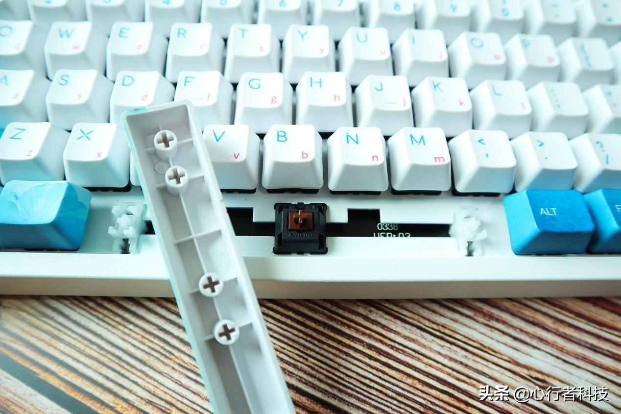 蜻蜓点水立指尖——黑爵蜻蜓键茶轴体验