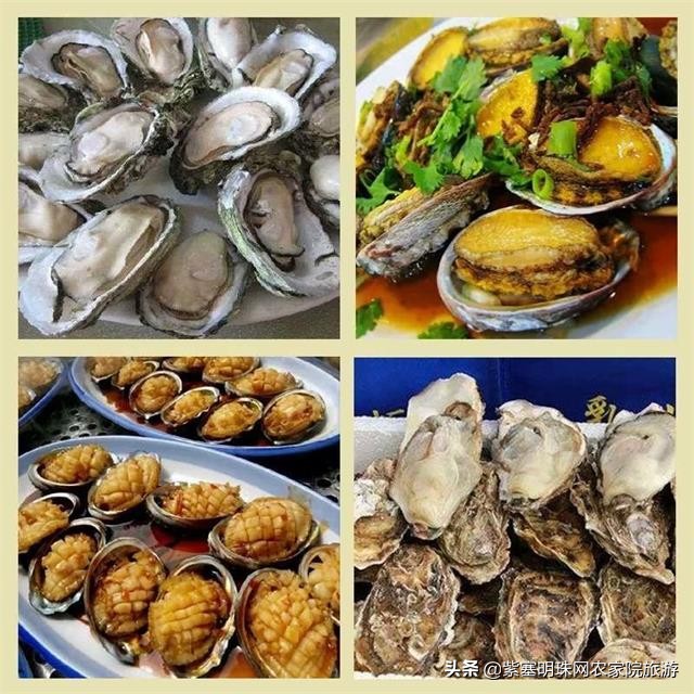 夏天去赶海抓螃蟹小龙虾,东戴河亿方客宾馆