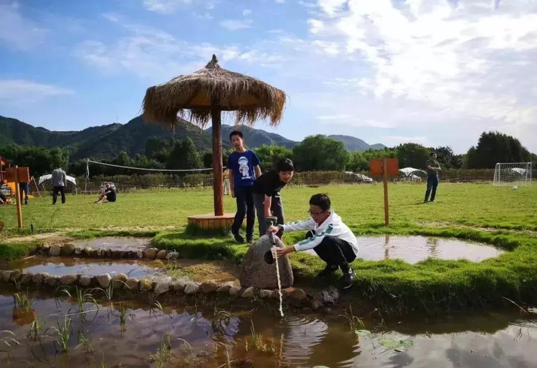 小猪佩奇去露营中英文字幕,小猪佩奇告诉了我们什么道理