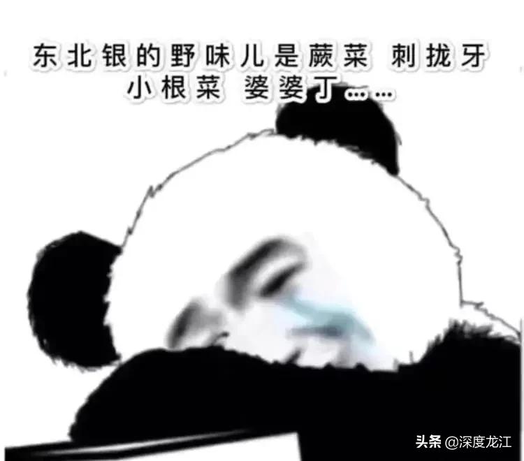 广西104岁老人自制药酒,爷爷泡的10年药酒