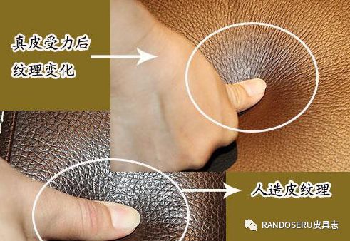 鳄鱼皮具区分几种鳄鱼皮,鳄鱼真皮皮料