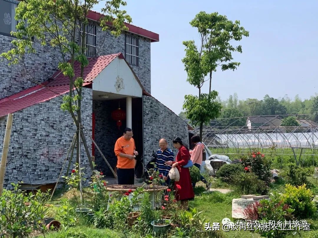 云南红果参一亩产多少斤,四川内江红果参多少钱1斤