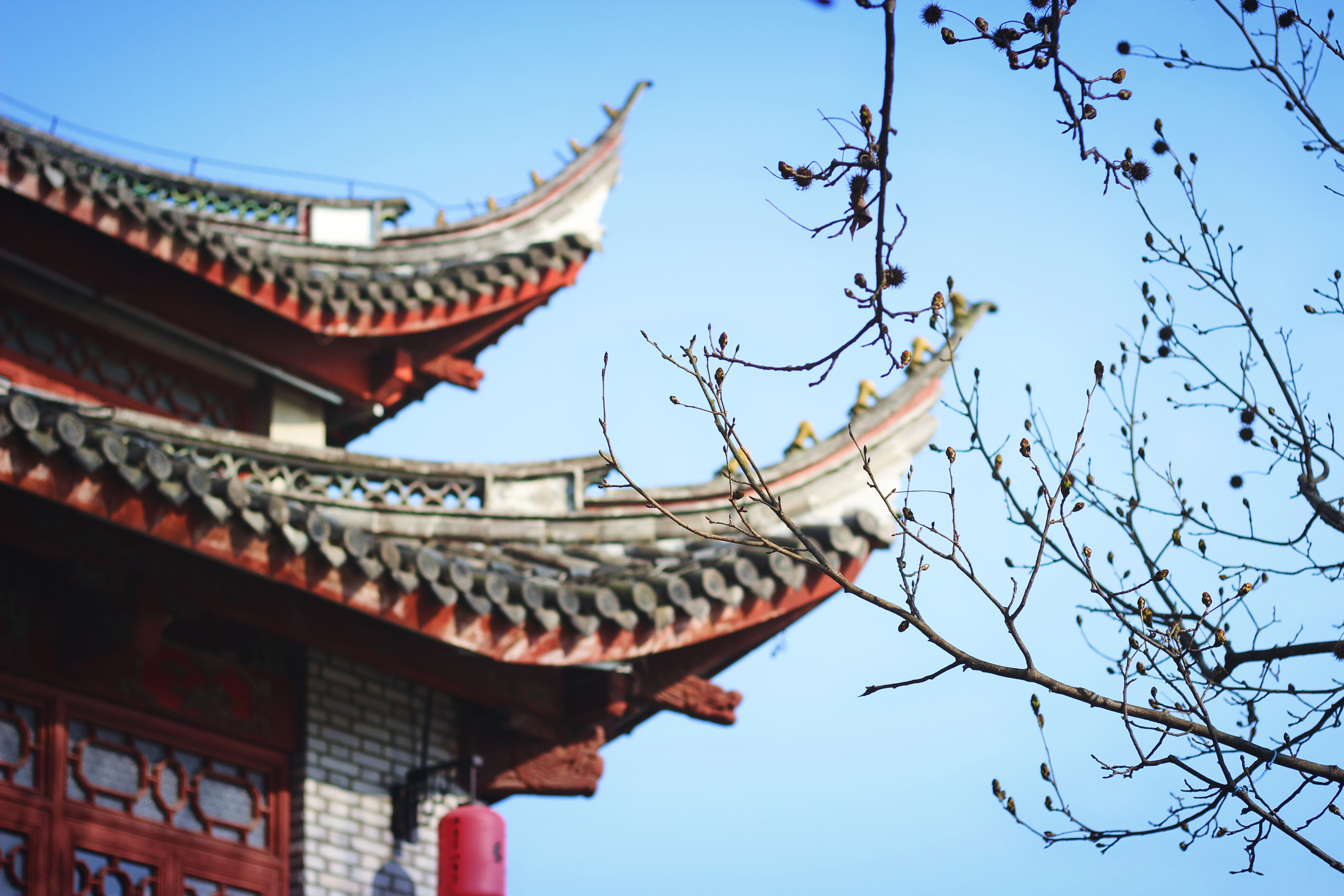 飞花令关于月的诗句赏析,飞花令关于月的诗句最新