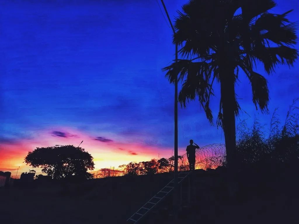 青春在边防绽放,青春在战疫中绽放朗诵