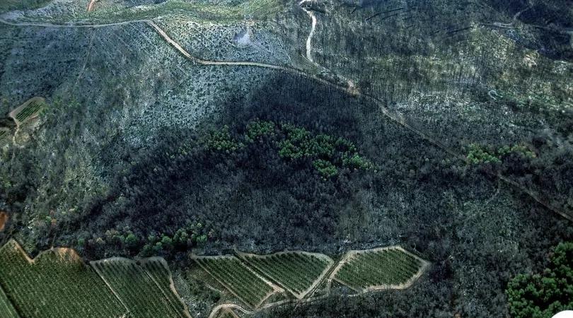 名校动态|看宾大景观系师生如何探索50年来的自然景观设计变迁