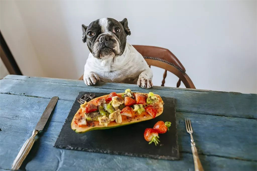 辟谣，山羊奶比牛奶更适合宠物，这一传言背后，其实暗藏风波