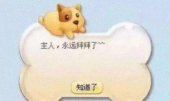 qq宠物停服多久了,qq宠物停止运营