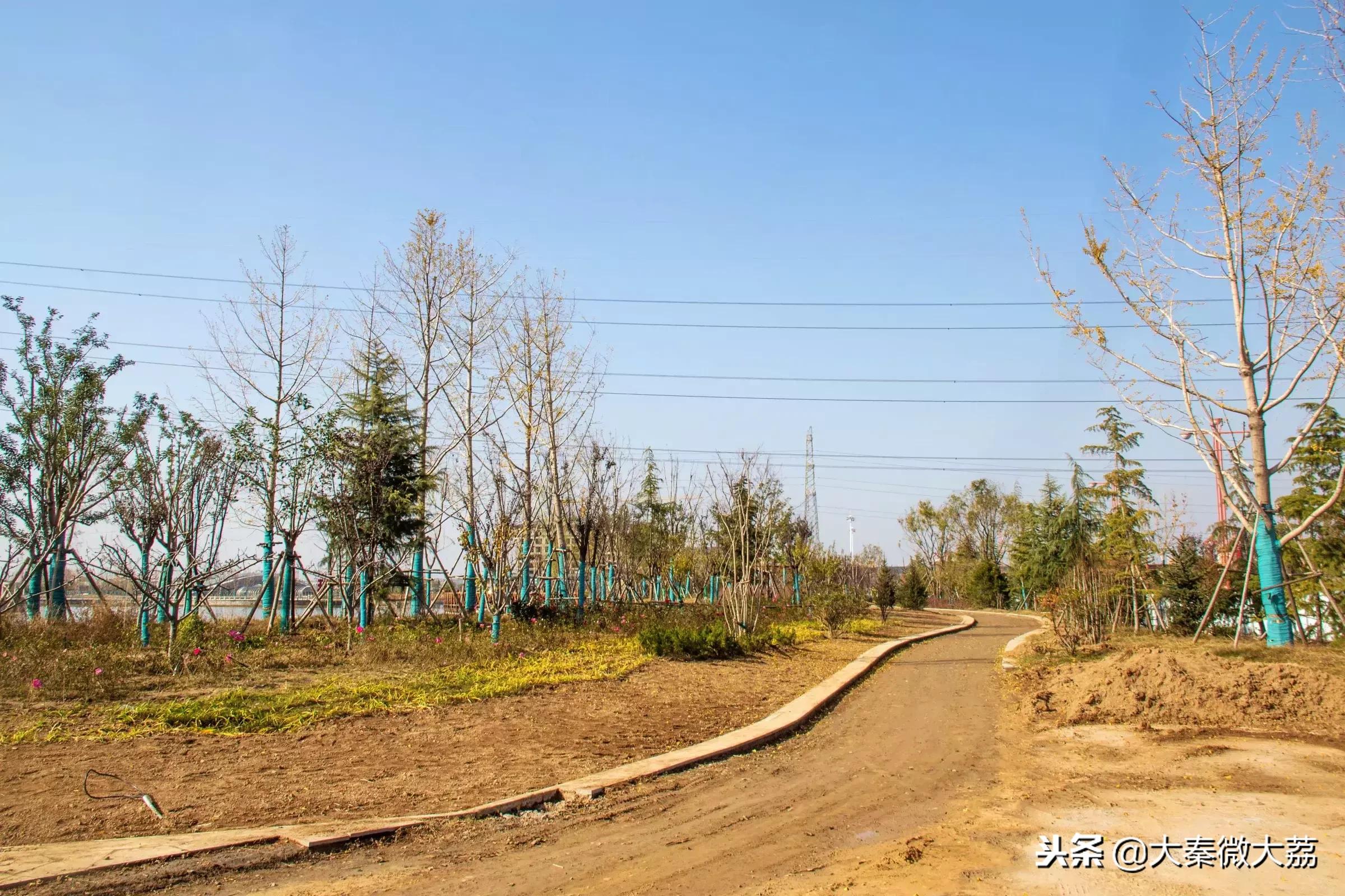 大荔玫瑰湖畅想曲（组图）