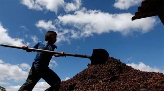 美国洪都拉斯黑帮,洪都拉斯黑帮与美国关系