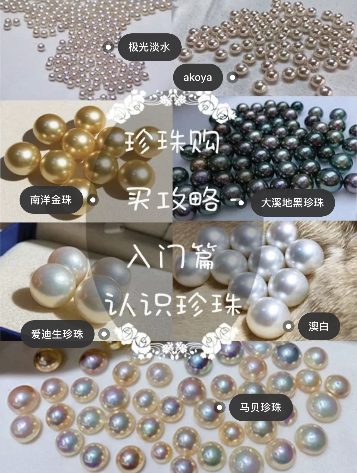 珍珠分类珍珠产地 (海水珍珠和淡水珍珠哪个值得购买)