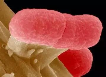 肚子总是咕噜噜响怎么回事还很饿,肚子一直咕噜咕噜叫是饿了吗