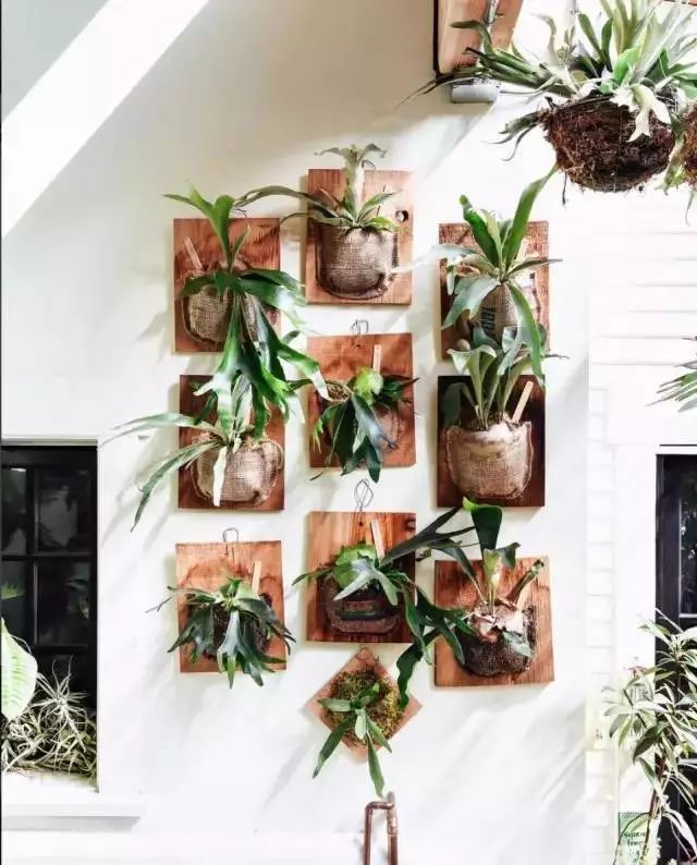 开一家植物美学小店,开一家属于自己的花店