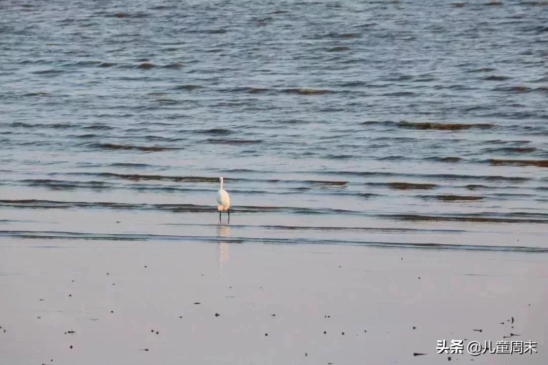 深圳十大免费景点路线,深圳10条绝美海岸线