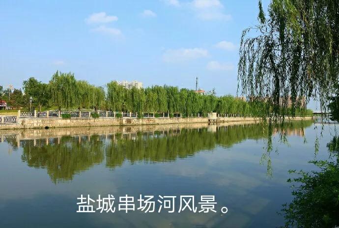 当代婚姻情感故事,连载：人狗情缘,一