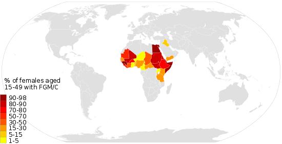 全球女性割礼调查：非洲大幅下降，中东不降反升，欧洲印度仍存在