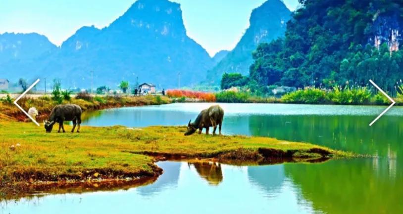 国外疫情严重进口奶粉能放心买吗,国外疫情严重国外奶粉安全么