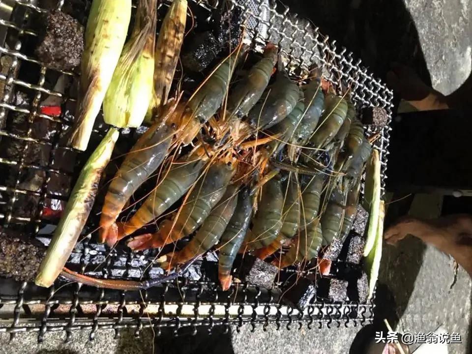 湄公河什么虾泛滥成灾,湄公河河虾为什么泛滥成灾了呢