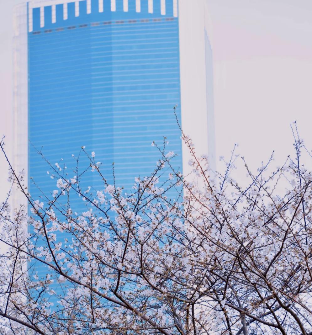 江汉区,凭什么成为武汉幸福指数最高的区?