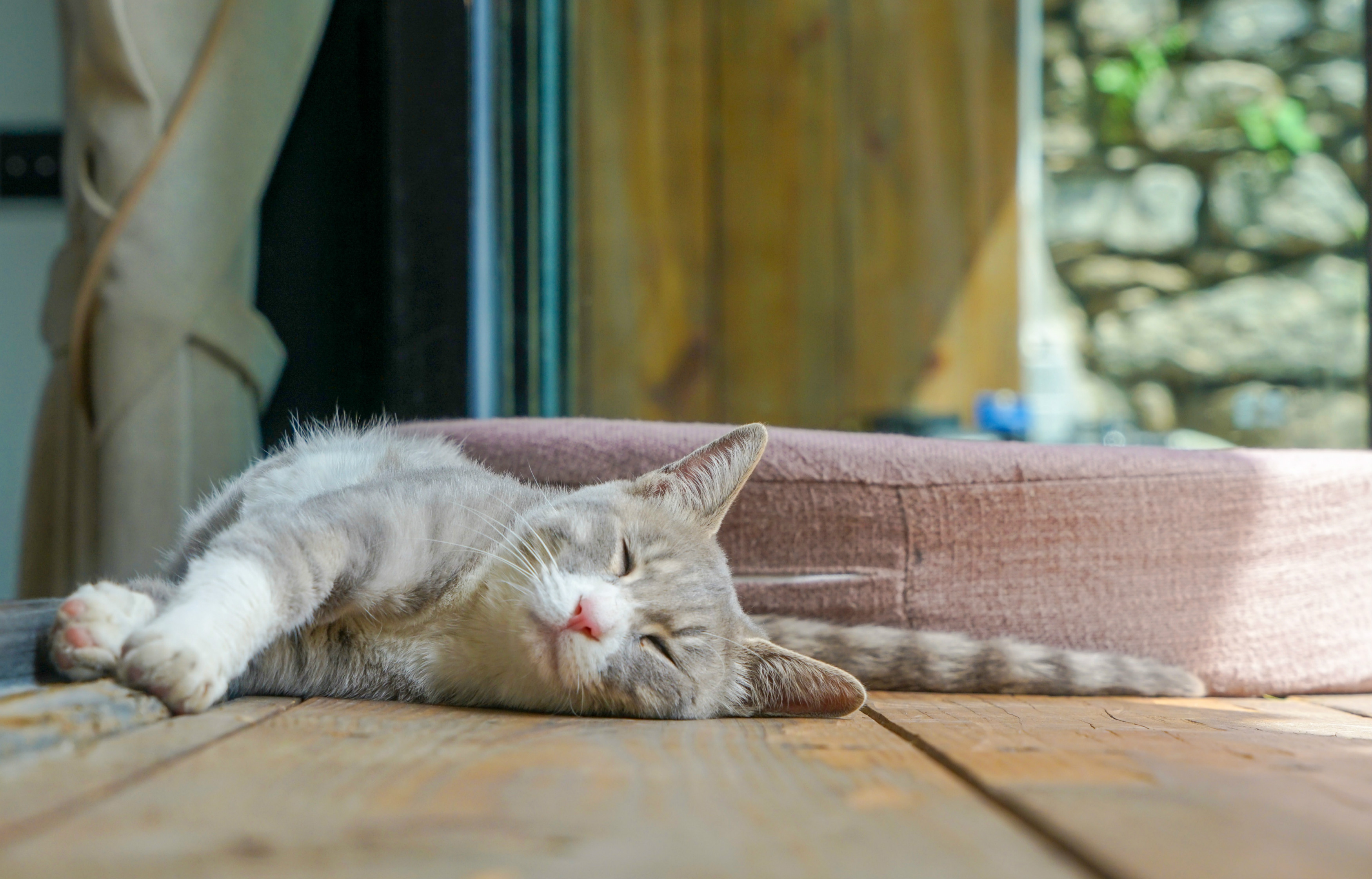 大理自由行攻略推荐,没有攻略的大理旅游