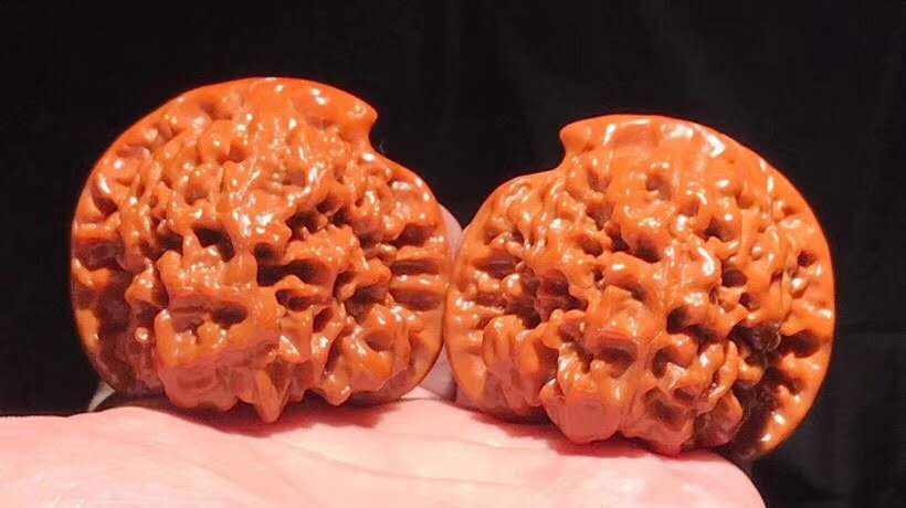 文玩新手盘核桃入门教程,文玩核桃新手避坑