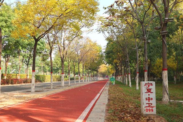 宁夏中卫旅游注意事项及时间表,宁夏中卫旅游攻略需要带什么