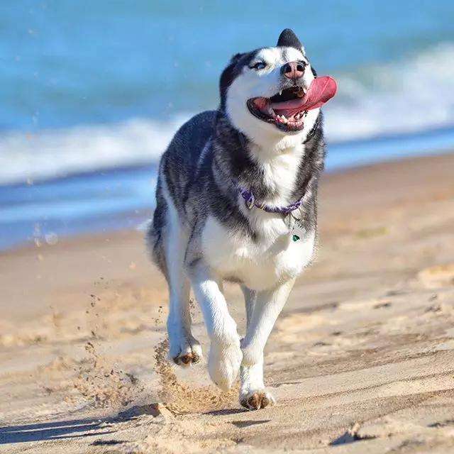 马云说的玛丽莲梦露是谁,全球第一玛丽莲梦露