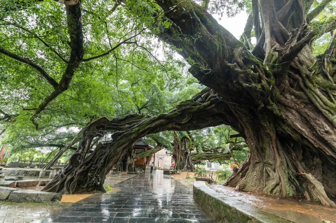 6条绝美自驾路线是时候安排上了,7条国内绝美自驾线路