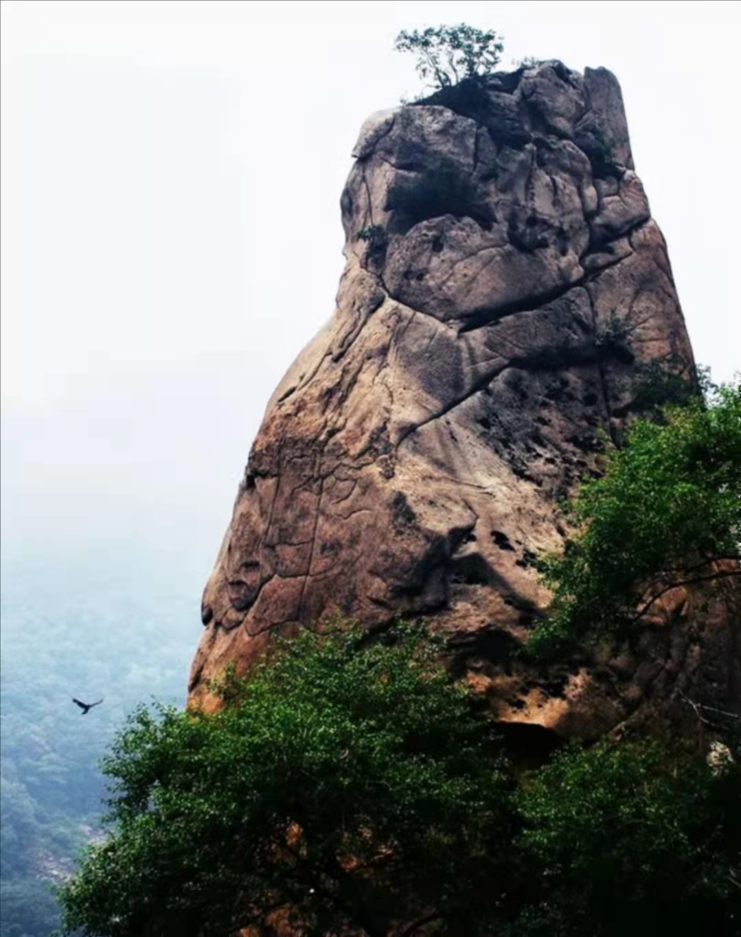 京津环渤海滨海休闲度假地产初探-之二