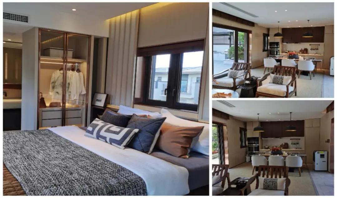 探寻北纬37度的秘密——一个向海而生的乐活小镇