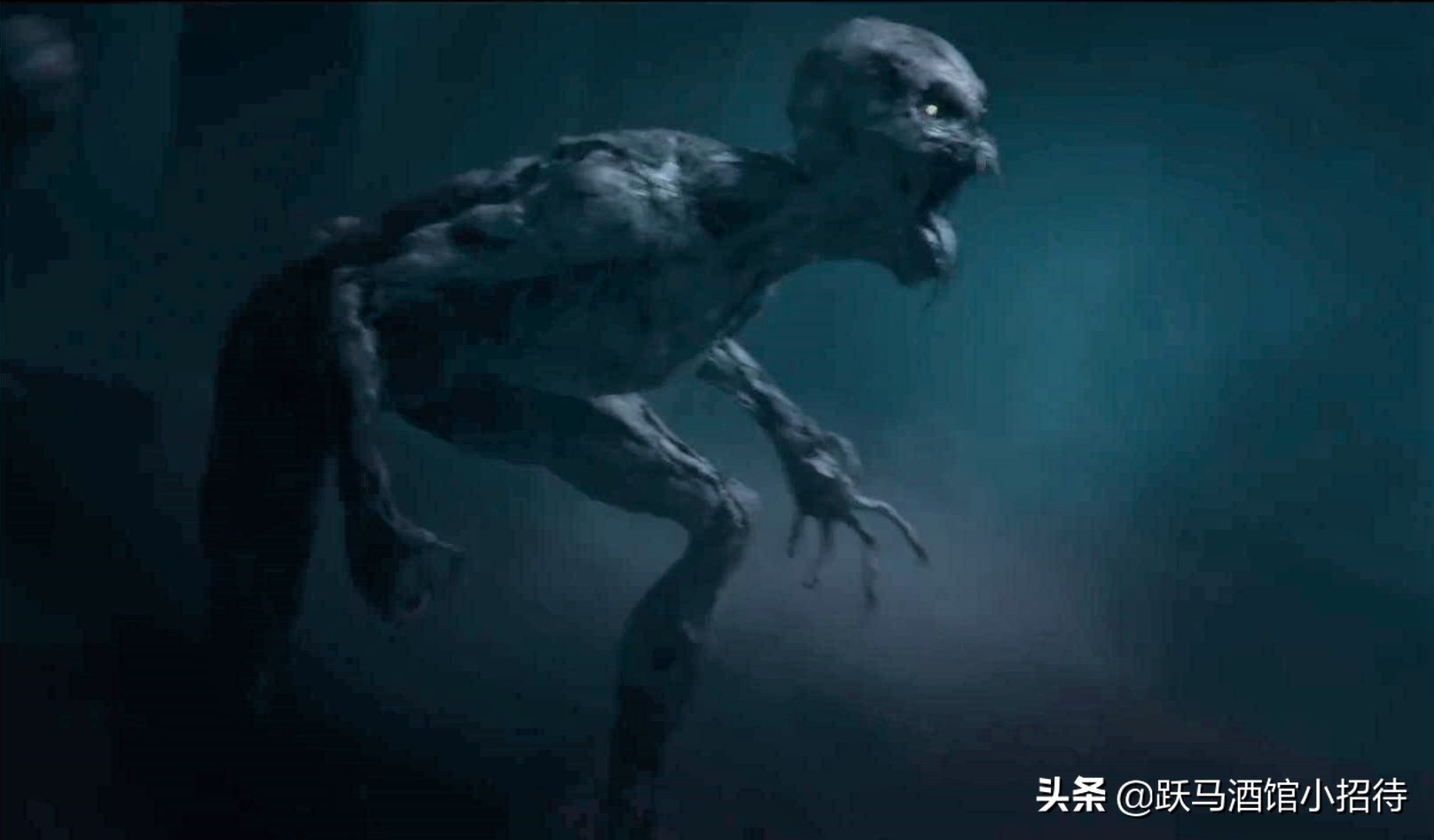 猎魔人跟狼人,美剧猎魔人十大魔法