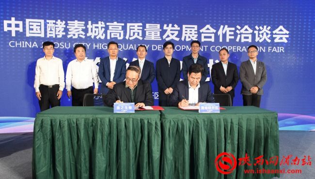 中国酵素城起航,中国酵素城座谈会