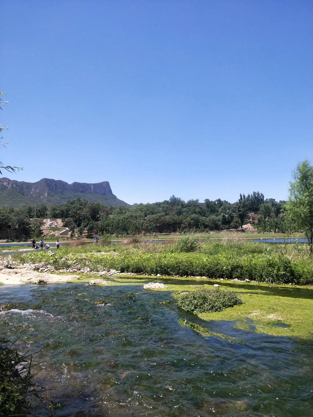 石家庄豌豆农场门票,豌豆农场井陉