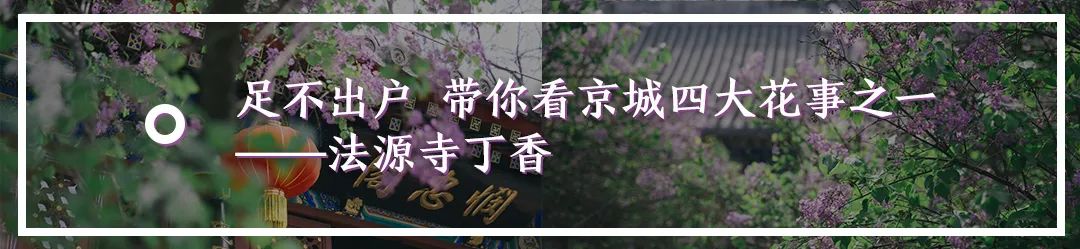 院子里踢足球,胡同踢毽