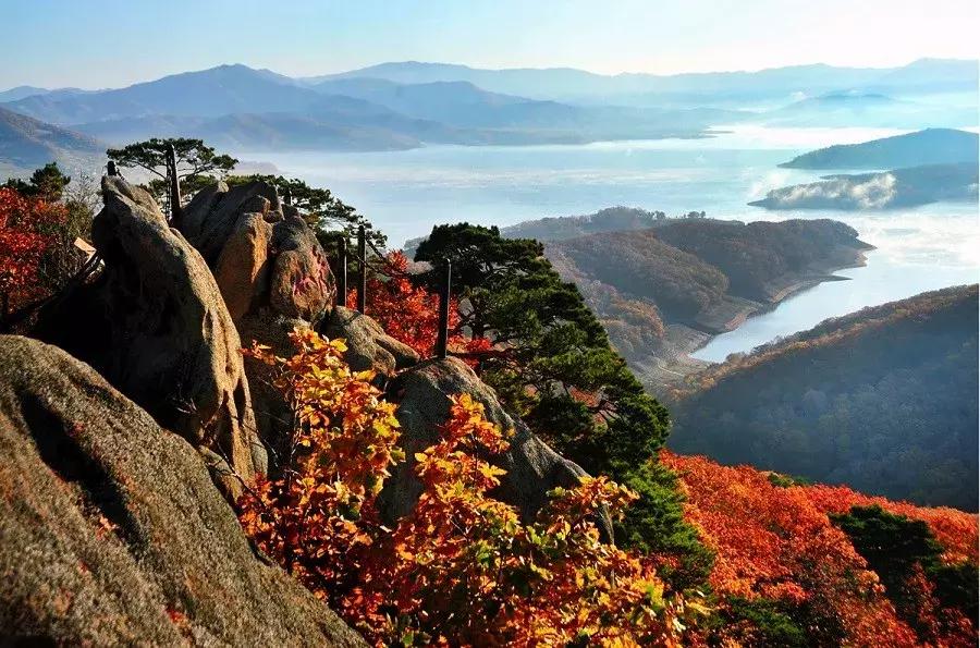 消夏季|我劝你哪凉快哪待着去！
