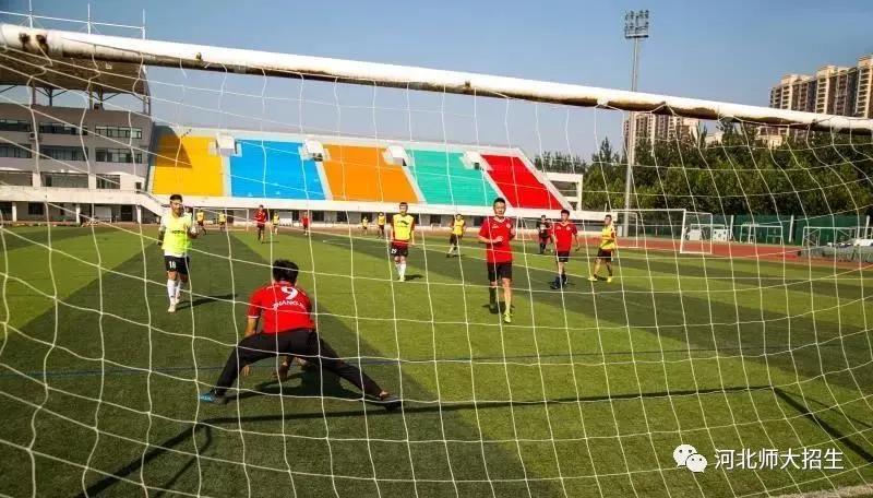 专业解读|体育教育、运动康复、运动训练、武术与民族传统体育