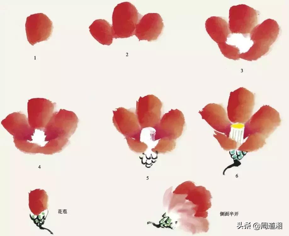 国画花卉大全教程视频,花卉小品国画图片大全
