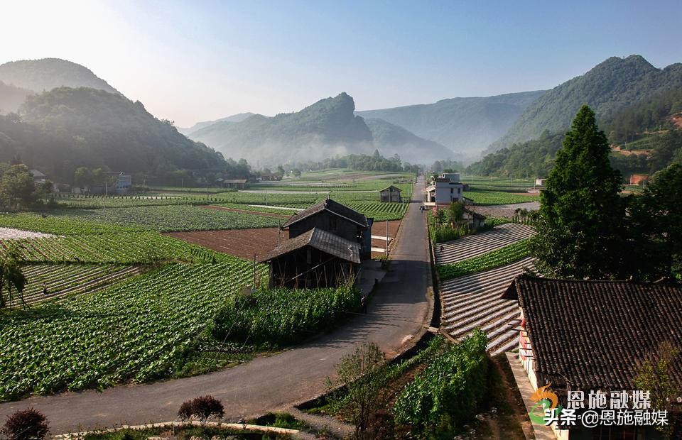 李伦英：用镜头记录家乡的美丽