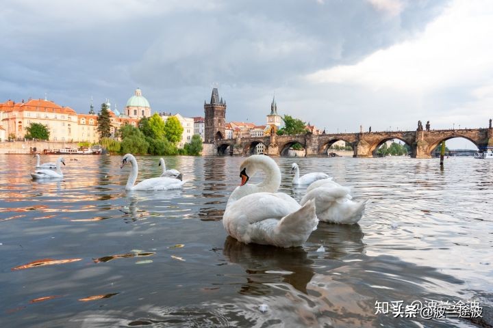 捷克留学国内承认吗认可度高吗,怎样申请捷克留学