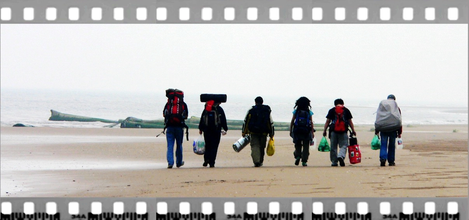 纪念失去后的重生,纪念失去的一切