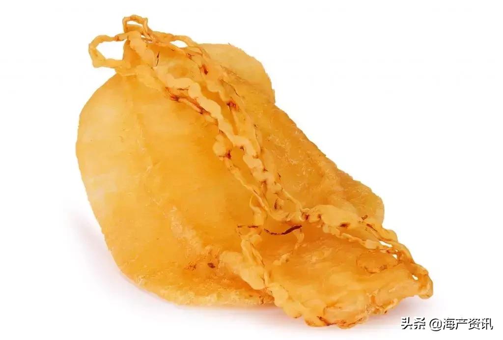 怎么区别花胶公母有教程,花胶公母区别方法图解