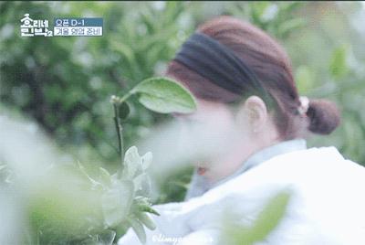 西安直飞1h,西安出发三日游冬季高铁