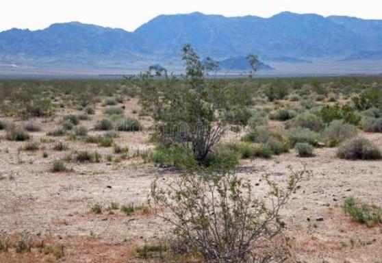 地球最奇特的沙漠,地球上最优越的气候是什么气候