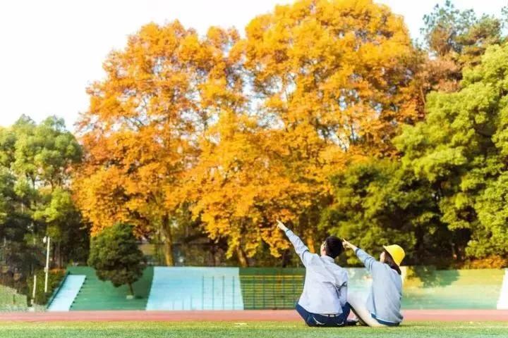 神仙颜值学校,神仙颜值校园