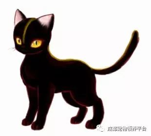 谁说土猫无名猫？快来围观古代猫谱，你家有没有镇宅神兽！