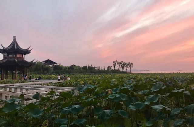 苏州半日游吃喝玩乐集中的地方,苏州周末去哪玩最佳去处