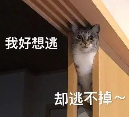 便宜好用的精华水,最便宜的平替精华液