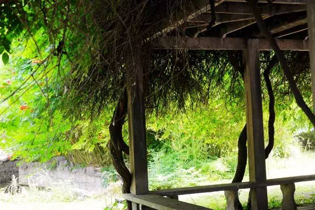 颜值爆城！云龙湖边的这所高校，今年要提前招你...