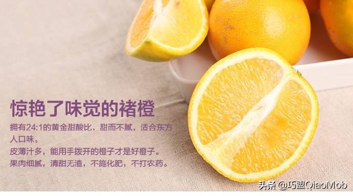 电商的五个传奇人物,电商志日本老板