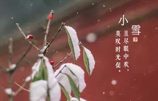 小雪节气的寄语和感悟,小雪寄语100句